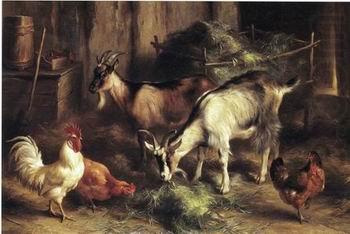 poultry  160, unknow artist